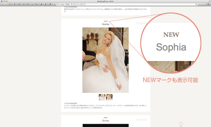 カテゴリーから簡単に素早く商品を検索可能。一覧表示も2種類。説明文も